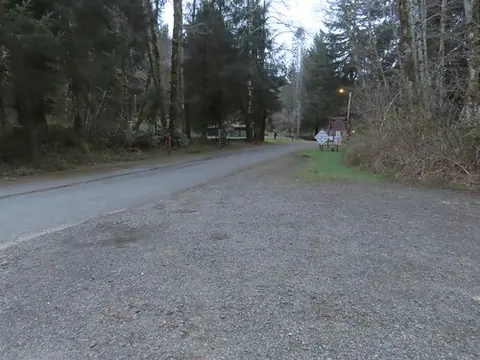 A gravel pullout alongside a paved road surrounded by dense forest trees.