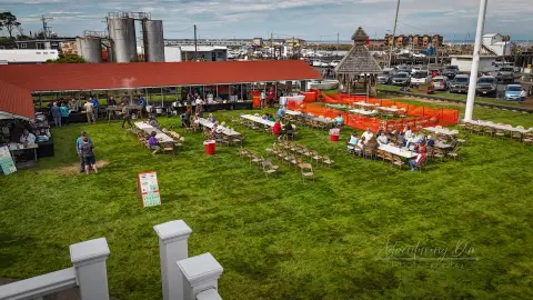 An elevated view of people gathered at tables on a grassy area next to a building and a harbor.