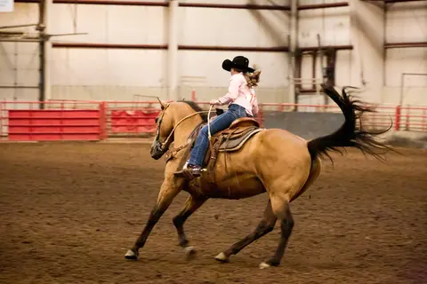 A person rides a horse in an indoor arena.