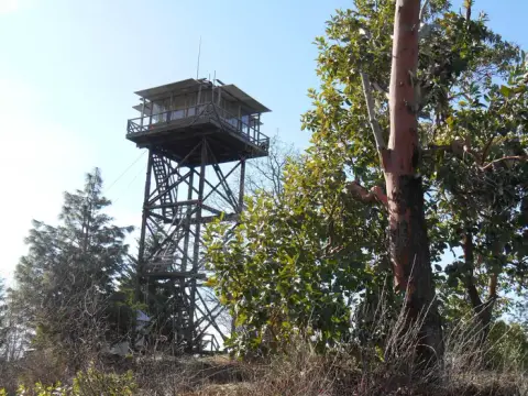 A tall wooden fire lookout tower stands among trees under a clear blue sky.