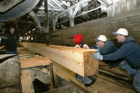 Men operating equipment inside a sawmill.