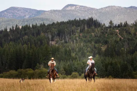 Two people ride horses across a field with mountains and trees in the background.