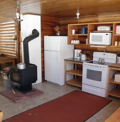 A rustic kitchen interior featuring a wood-burning stove and wooden walls.