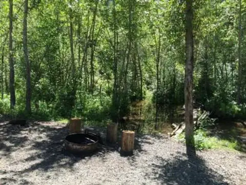 A campsite with a fire ring and log seats near a wooded stream.
