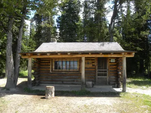 A rustic log cabin stands in a wooded area among tall trees.
