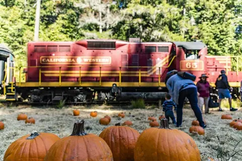 A red diesel locomotive stands behind a field of pumpkins with people nearby.