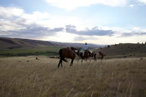 People ride horses across a grassy hillside beneath a cloudy sky.