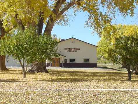 An exterior view of a building with autumn trees and fallen yellow leaves.