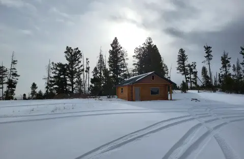 A log cabin sits in a snowy landscape surrounded by pine trees under an overcast sky.