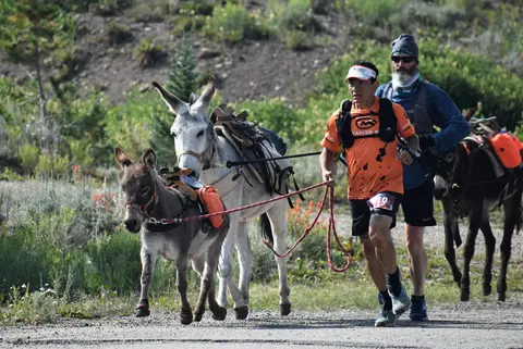 A runner leading donkeys along a trail.