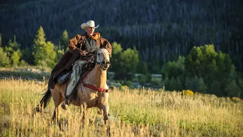 A cowboy rides a horse through a grassy field with trees in the background.