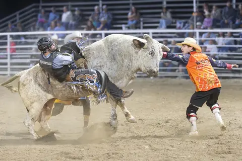 A bull rider being thrown off a bull in a rodeo arena.