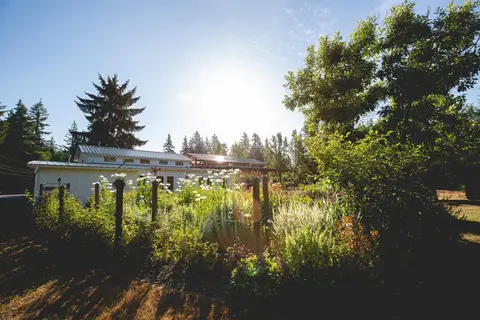 A garden in front of a white building on a sunny day.