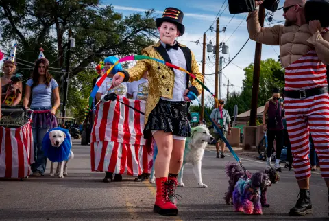 A child in a top hat and glittery jacket leads dogs in a parade.