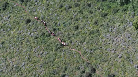 A line of people riding horses on a mountain trail.