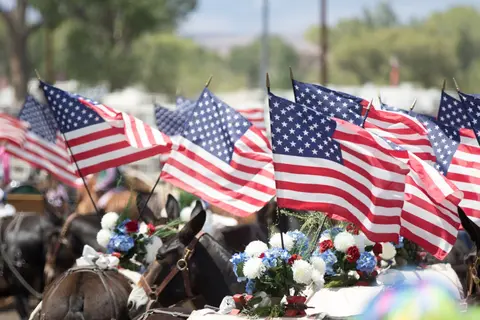 A row of mules decorated with flowers and American flags.