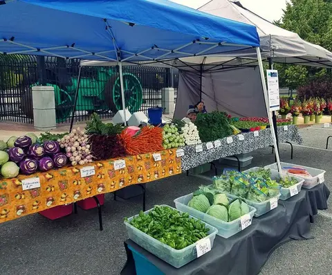 A vendor's stall at an outdoor market displays fresh vegetables under tents.