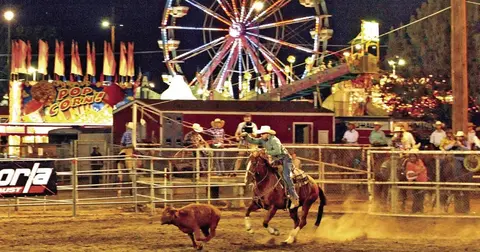 A cowboy on a horse chases a calf in a rodeo arena at night with a carnival in the background.