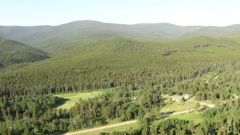 A wide landscape view of a vast forest covering rolling hills and mountains.