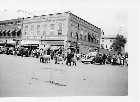 Historic black and white photo of people leading sheep on a street in front of a multi-story building.
