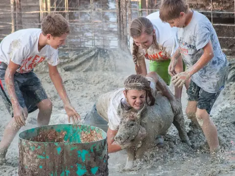 Four young people in a muddy pen trying to catch a pig.