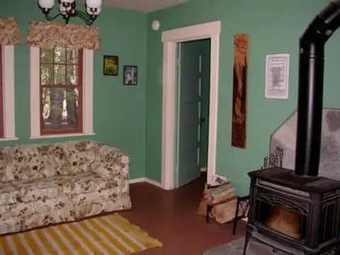 A photo of an interior room with green walls, a patterned couch, and a wood stove.