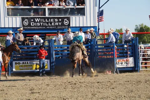 A cowboy rides a bucking horse out of a chute at a rodeo.
