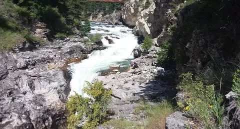 A rushing river flowing through a rocky canyon.