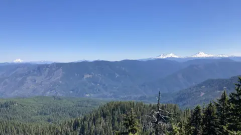 A scenic view of forested mountains and distant snow-capped peaks under a blue sky.