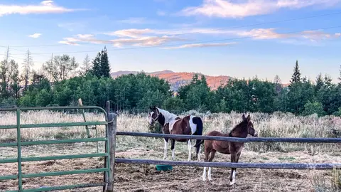 Two horses stand in a fenced enclosure near trees and mountains at sunset.