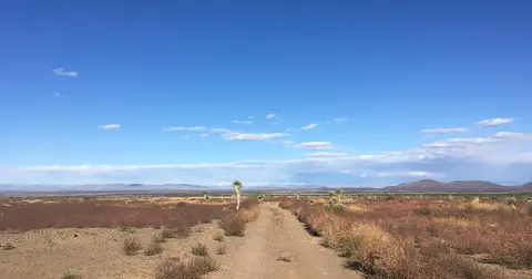 A dirt road cuts through a desert landscape under a blue sky.