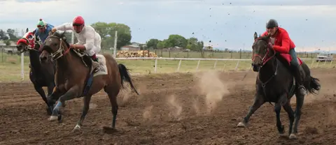 Jockeys race horses on a dirt track.