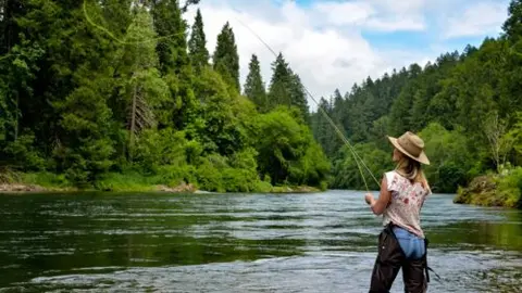 A person fly fishes in a river surrounded by trees.