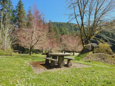 A picnic table sits in a grassy park surrounded by trees and mountains.