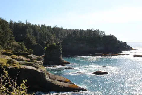 A scenic view of a rocky coastline with dense evergreen forests meeting the ocean.