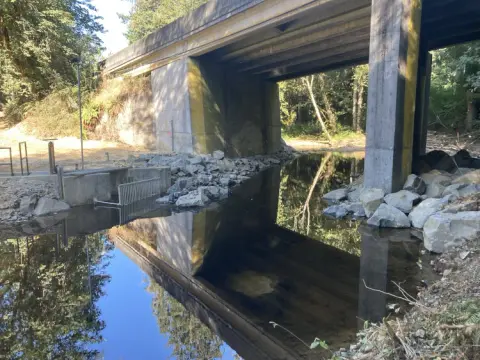 A concrete bridge over a calm stream with rocky banks.