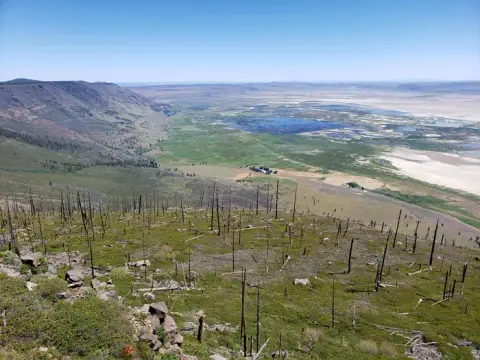 A high-angle view overlooking a vast valley and distant wetlands from a hillside with burnt trees.