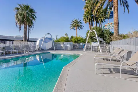 An outdoor swimming pool surrounded by lounge chairs and palm trees.