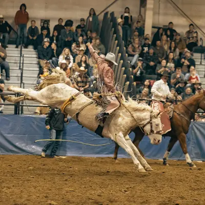 A rodeo rider competes on a bucking horse before an audience.