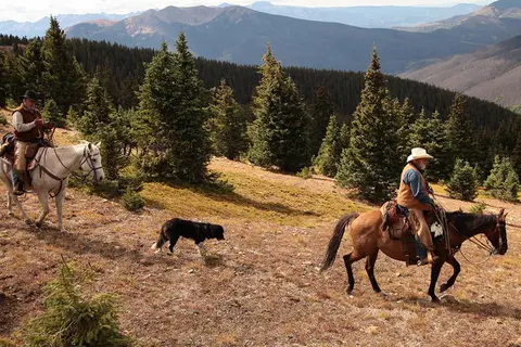 Two people ride horses on a mountain slope with a dog walking between them.