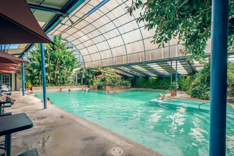 People enjoy swimming in an indoor pool with a curved translucent roof surrounded by lush greenery.