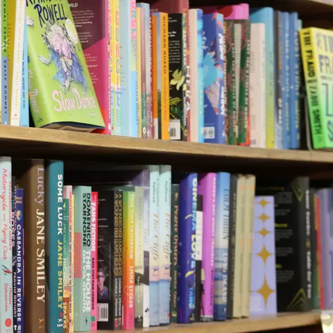A close-up view of wooden shelves filled with various books.
