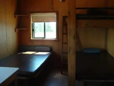 Inside of a cabin featuring wooden walls, beds, and a window.