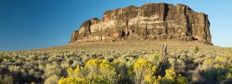 A rocky bluff rises above a field of yellow wildflowers and sagebrush.