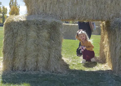 A young girl playing inside a structure made of hay bales.