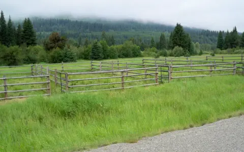 Wooden corrals sit in a grassy field with forested mountains in the background.