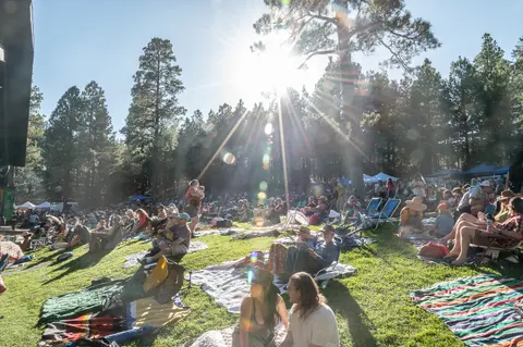 A crowd of people relaxing on a grassy hillside during an outdoor concert.