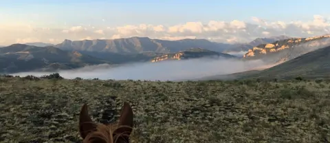 A view of mountains and fog from horseback.
