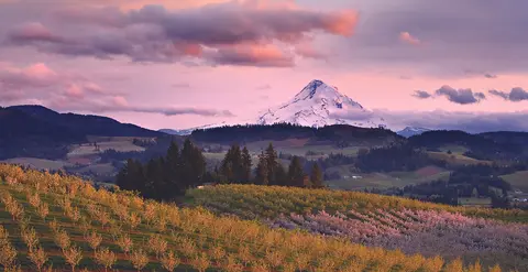 A scenic landscape featuring a snowy mountain peak at sunset behind orchards and hills.