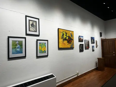 An art gallery wall displaying multiple framed paintings.